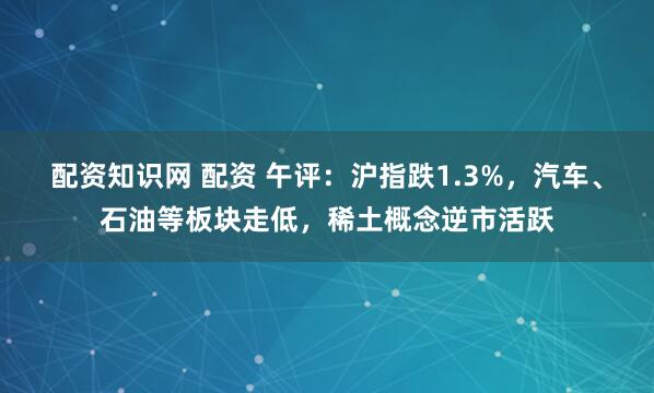 配资知识网 配资 午评：沪指跌1.3%，汽车、石油等板块走低，稀土概念逆市活跃