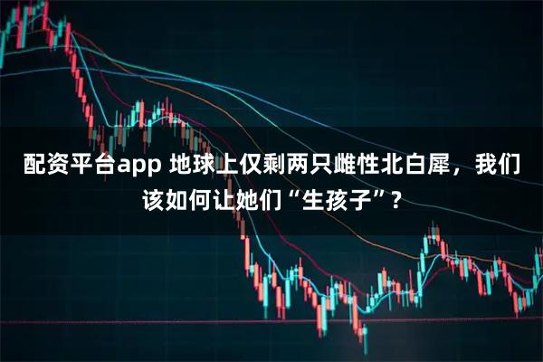 配资平台app 地球上仅剩两只雌性北白犀,我们该如何让她们“生孩子”?